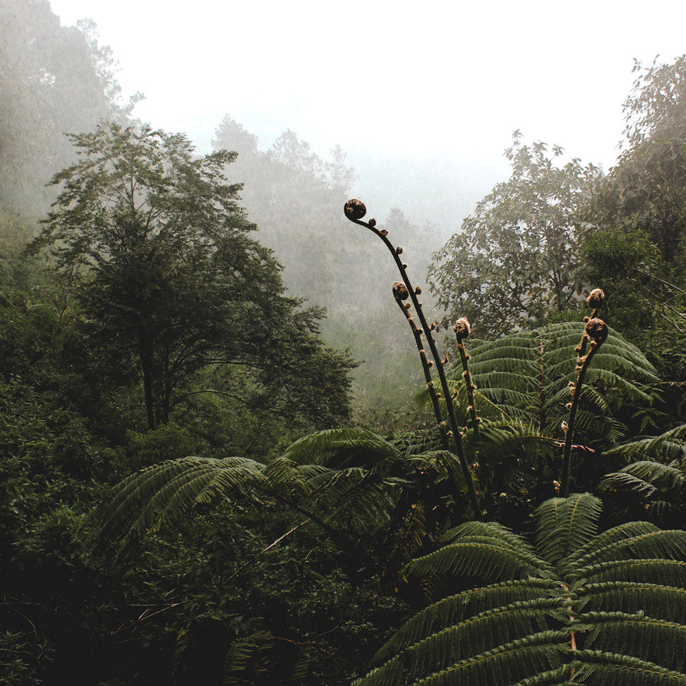 AMERICAS Discovery kit