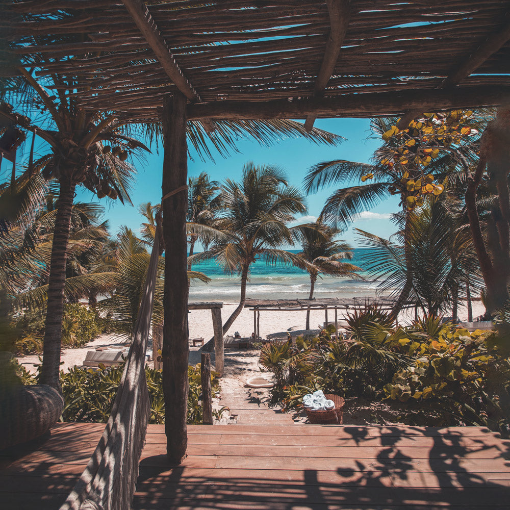 AMERICAS Discovery kit